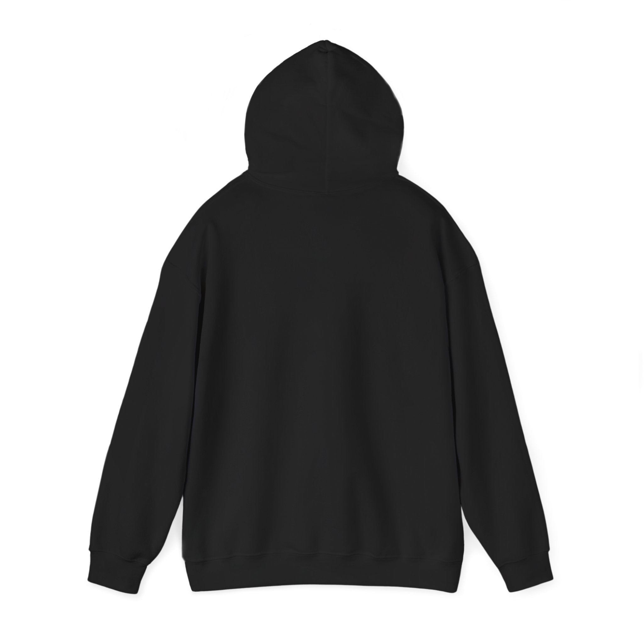 Hung & Handsome - HOODIE
