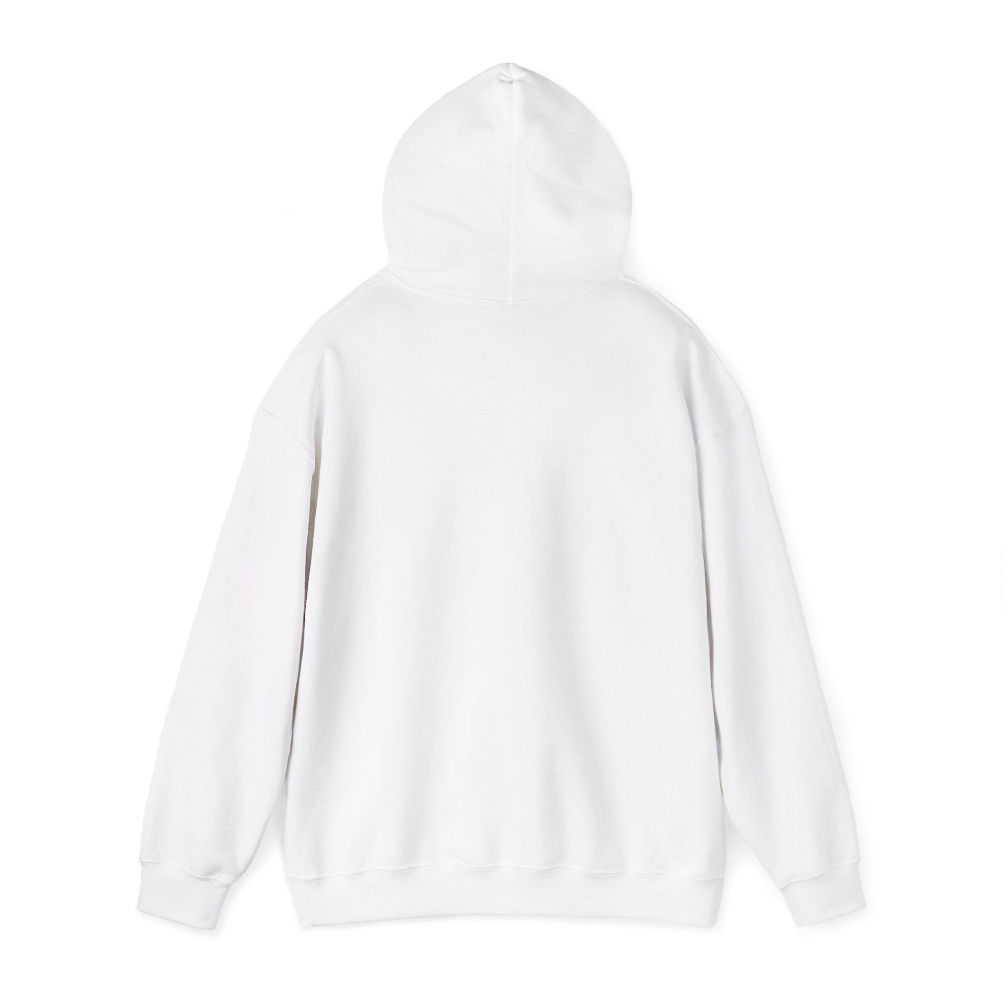 Hung & Handsome - HOODIE
